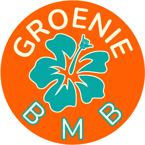 GROENIE | Body Mind Business | Shift your life with Aloha & AI | By Arwed Grön
